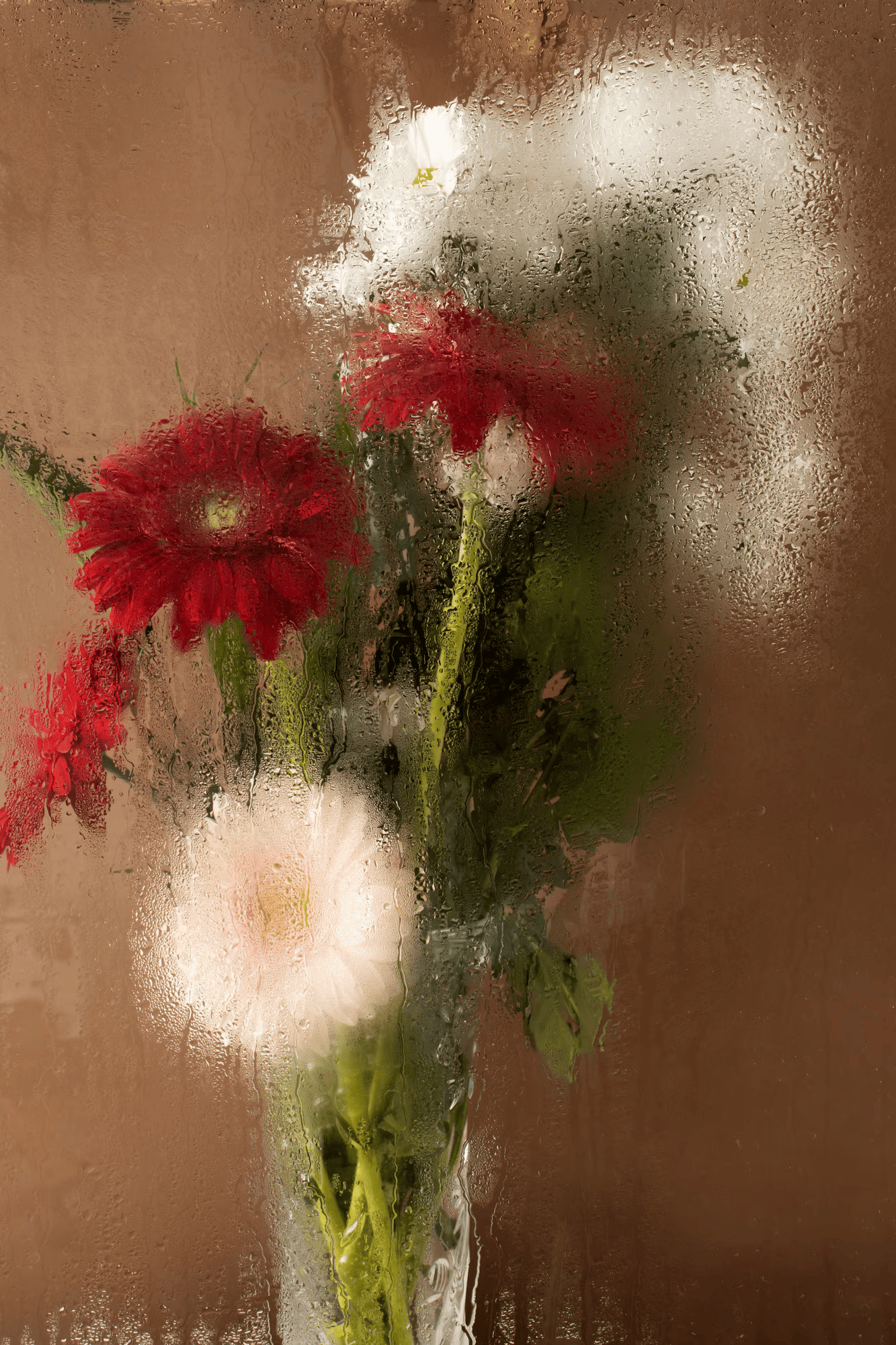 Rote und weiße Blüten hinter dem Glas