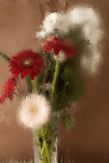 Rote und weiße Blüten hinter dem Glas